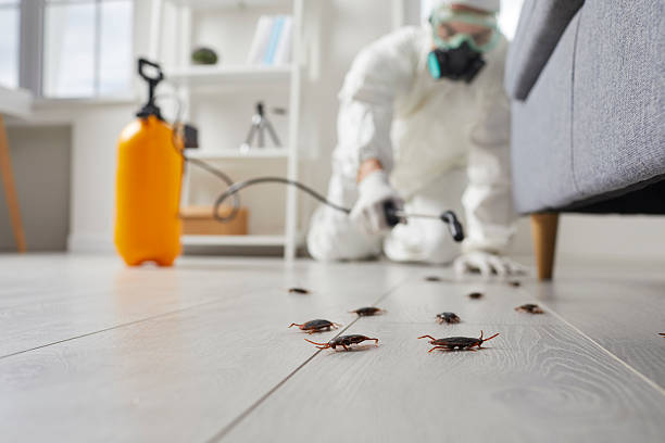 Commercial Kitchen Cockroach Control in Holtville